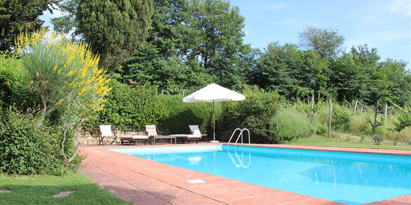 relax poolside at Il Ciliegio