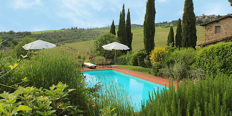 Pool and vineyards, La Capanna at Casa La Rota