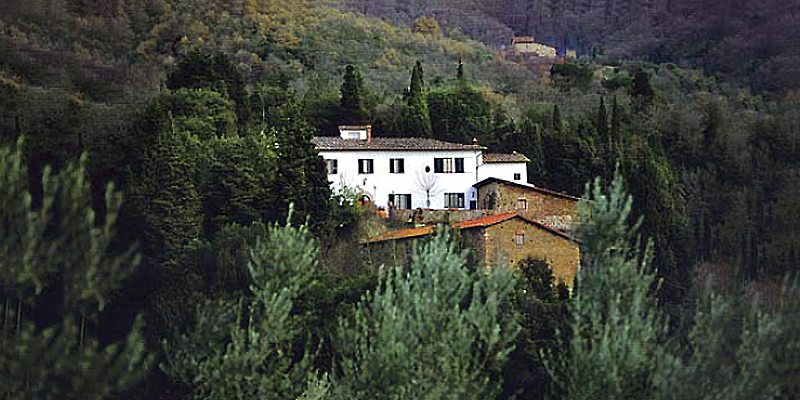 aerial view, VIlla Collegale